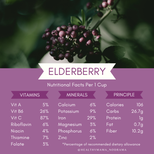 Elderberry nutritional facts